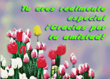Haga click para ver la imagen ampliada tueresrealmenteespecial.gif