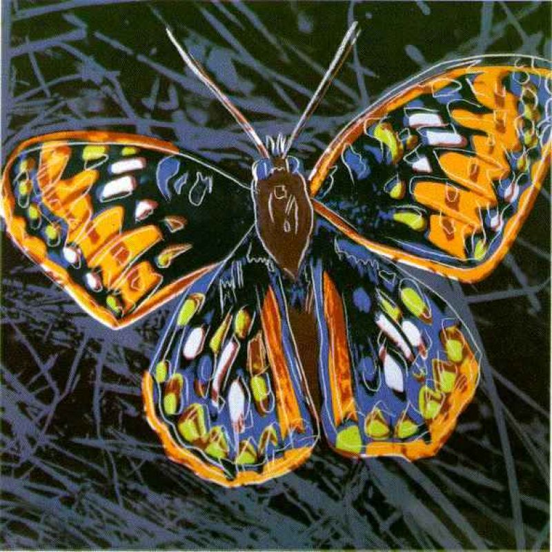 butterfly.jpg
