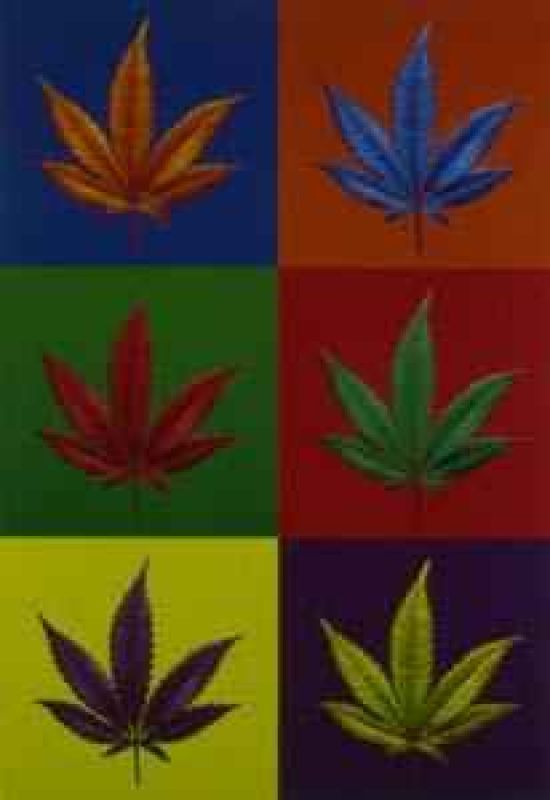 cannabis-dope-andy-warhol-version-4000369.jpg
