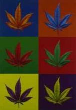 Haga click para ver la imagen ampliada cannabis-dope-andy-warhol-version-4000369.jpg