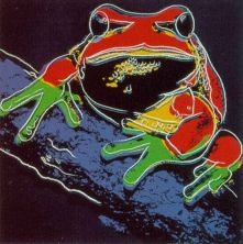 Haga click para ver la imagen ampliada frog.jpg