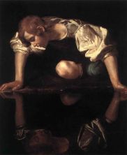 Haga click para ver la imagen ampliada narcissus.jpg