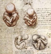 Haga click para ver la imagen ampliada fetus.jpg