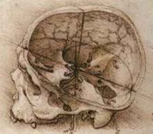 Haga click para ver la imagen ampliada head.jpg