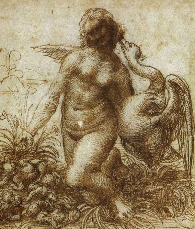 leda2.jpg