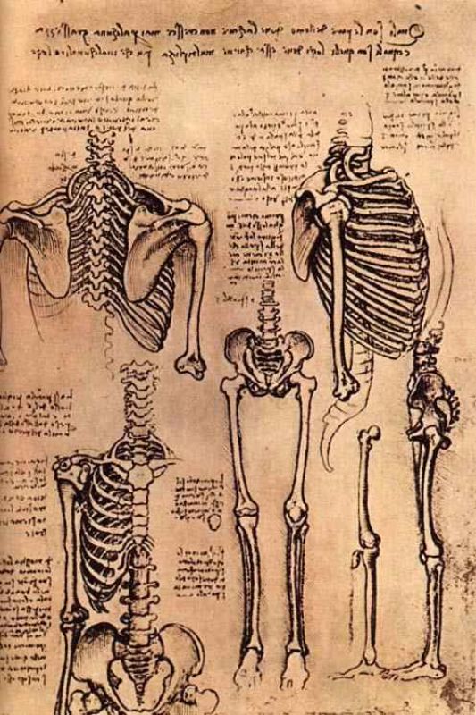 skeletons.jpg