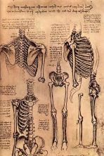 Haga click para ver la imagen ampliada skeletons.jpg