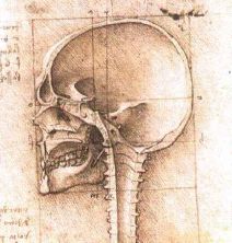 Haga click para ver la imagen ampliada skull2.jpg