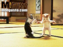 Haga click para ver la imagen ampliada gatitos.jpg