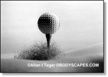 Haga click para ver la imagen ampliada golftee.jpg