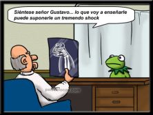 Haga click para ver la imagen ampliada gustavo.jpg
