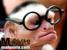 Haga click para ver la imagen ampliada monoradio.jpg