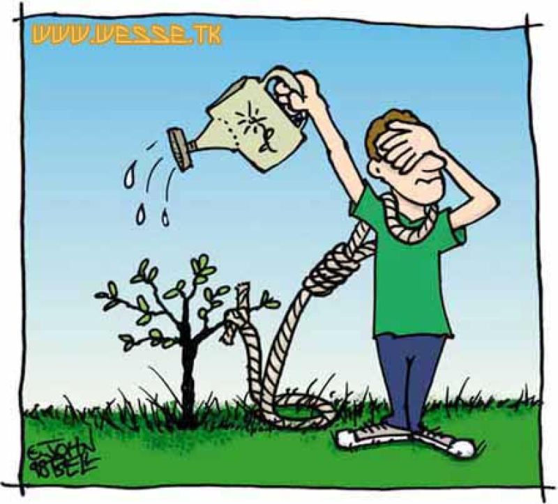 suicida.jpg